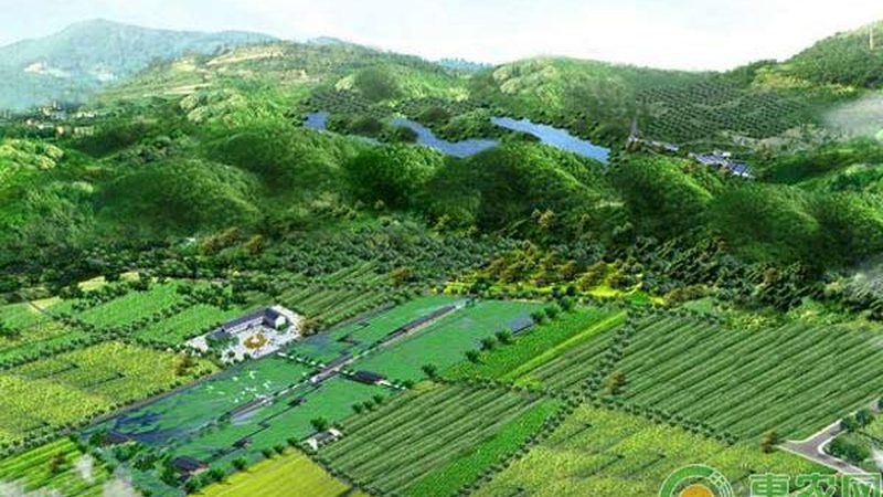 小标题：关注基地的生态环境和设施条件