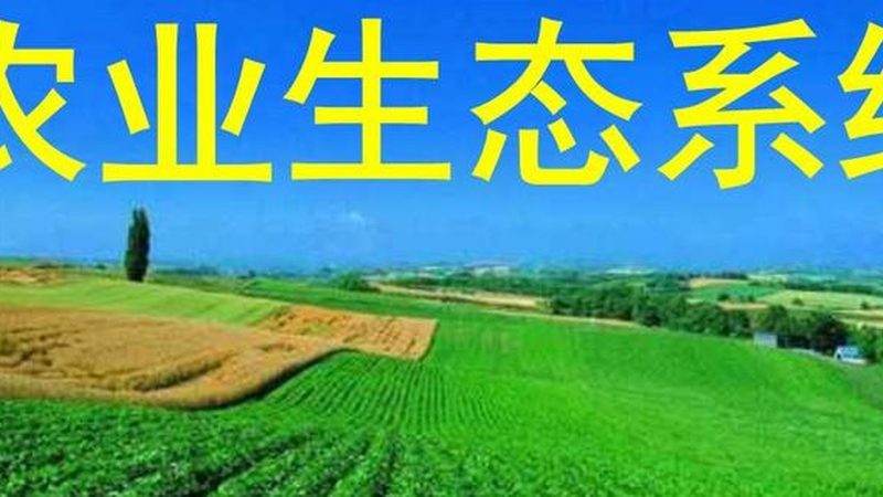 农产品分拣配送设备厂家排名