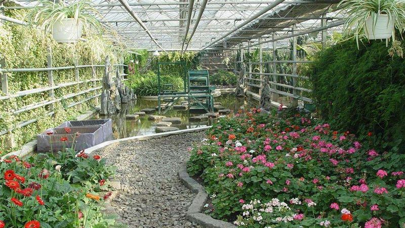 粮食种植机械：剖析其优缺点，助力农业现代化