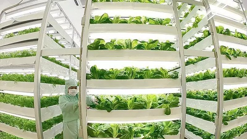 农资短视频获客技巧教程