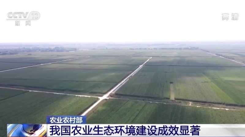 农产品代加工：揭秘其利润构成与影响因素