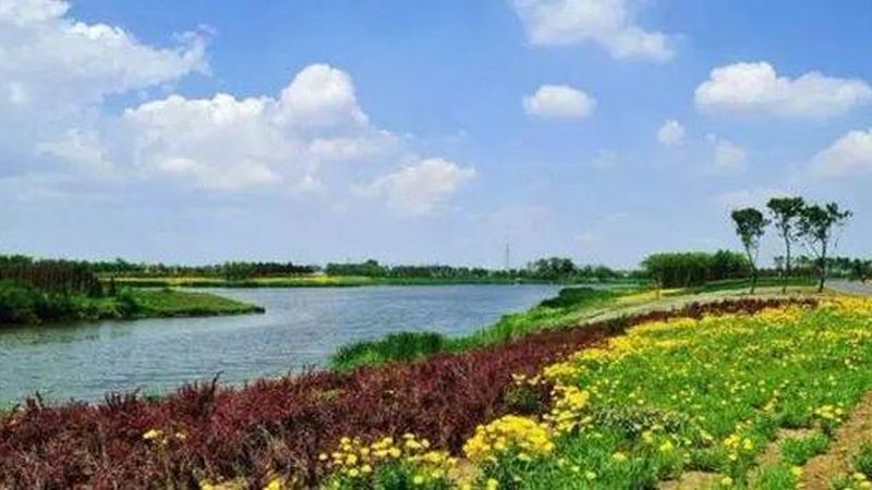 农产品溯源系统主要分为以下几类：