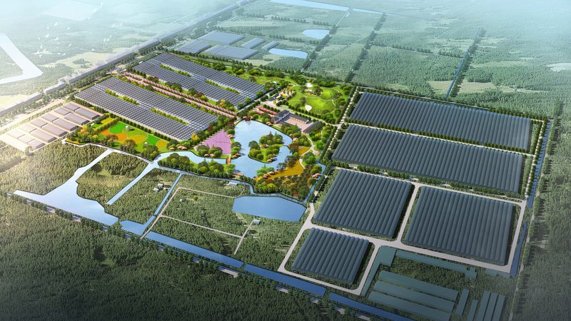 设施农业物联网系统：构建智慧农业的基石