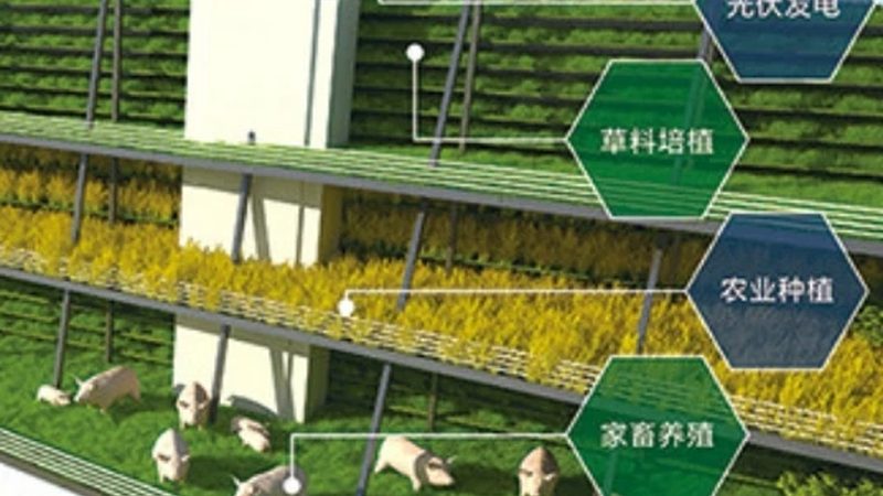 种植补贴申请，这些条件与流程你了解吗？**