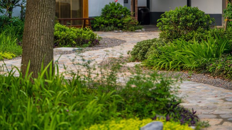 反季节水果补贴政策：助力农业发展新动力**
