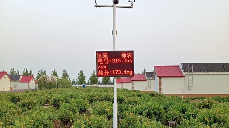 粮食种子适合哪些地区种植