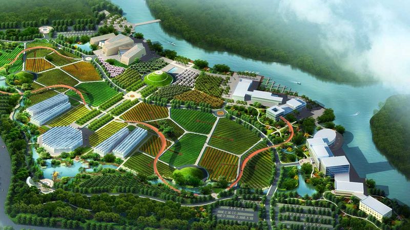 无土栽培设备：揭秘现代农业的“空中田园