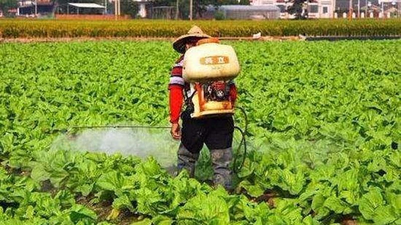 无土栽培农业创业培训