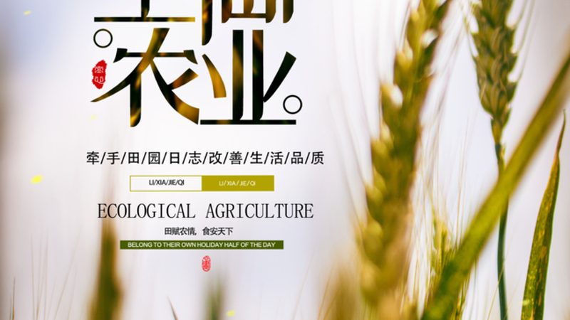 家庭农场温室大棚：如何选择适合的型号与规格**